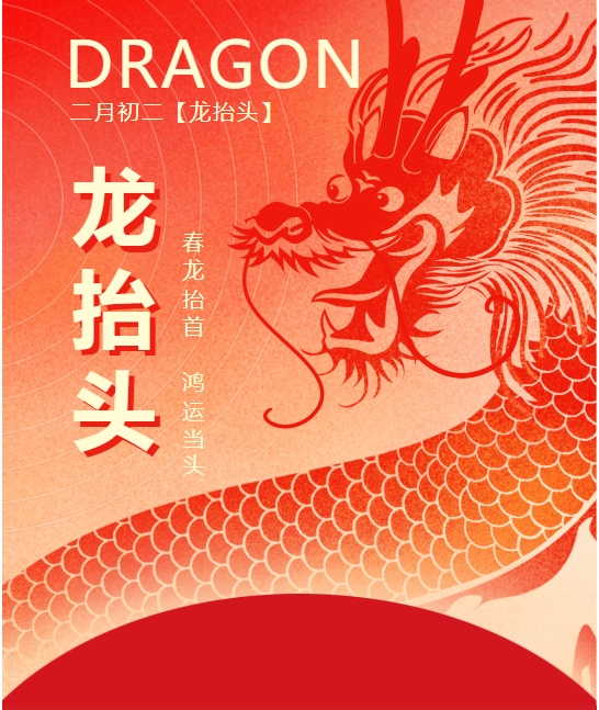 二月二龍?zhí)ь^，春龍振翅鴻運(yùn)啟 —— 佳木斯網(wǎng)云信息科技有限公司與您共迎新春盛景